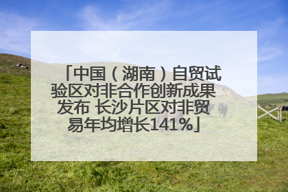 中国（湖南）自贸试验区对非合作创新成果发布 长沙片区对非贸易年均增长141%