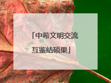 中希文明交流互鉴结硕果