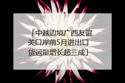 中越边境广西友谊关口岸前5月进出口货运量增长超三成