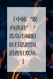 中韩“双向奔赴”！青岛市城阳区打造跨国消费狂欢场