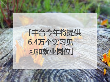 丰台今年将提供6.4万个实习见习和就业岗位