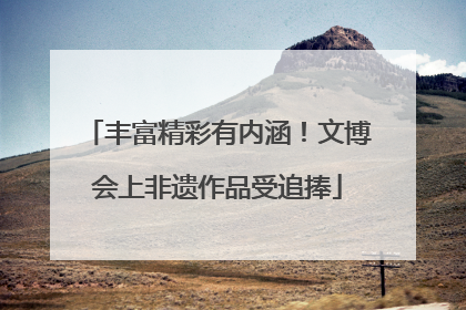 丰富精彩有内涵！文博会上非遗作品受追捧