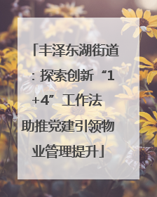 丰泽东湖街道：探索创新“1+4”工作法 助推党建引领物业管理提升