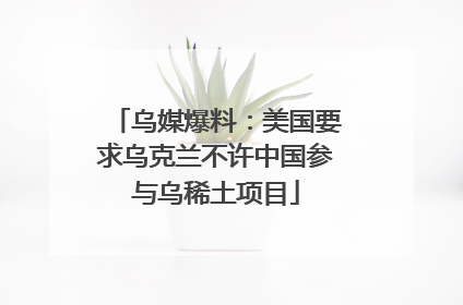 乌媒爆料：美国要求乌克兰不许中国参与乌稀土项目