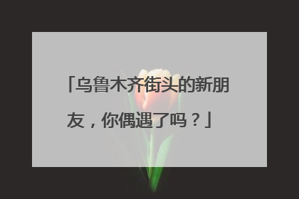 乌鲁木齐街头的新朋友，你偶遇了吗？