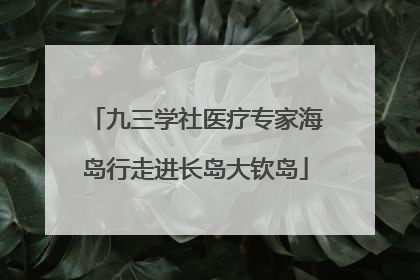 九三学社医疗专家海岛行走进长岛大钦岛