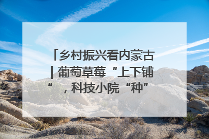 乡村振兴看内蒙古｜葡萄草莓“上下铺”，科技小院“种”出三倍效益