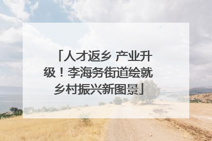 人才返乡 产业升级！李海务街道绘就乡村振兴新图景