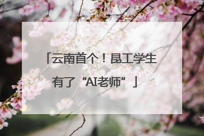 云南首个！昆工学生有了“AI老师”