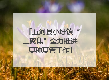 五河县小圩镇“三聚焦”全力推进夏种夏管工作