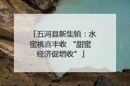 五河县新集镇：水蜜桃喜丰收 “甜蜜经济促增收”