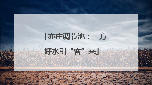 亦庄调节池：一方好水引“客”来
