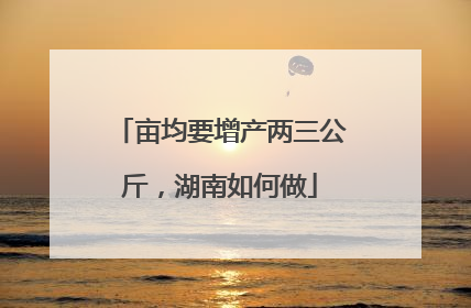 亩均要增产两三公斤，湖南如何做