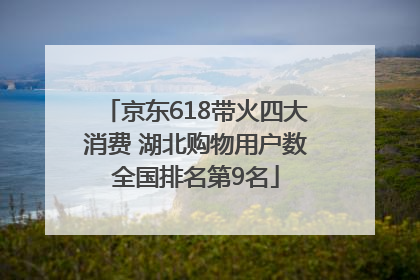 京东618带火四大消费 湖北购物用户数全国排名第9名