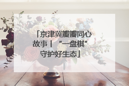 京津冀瓣瓣同心故事丨“一盘棋”守护好生态