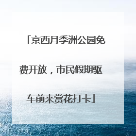 京西月季洲公园免费开放，市民假期驱车前来赏花打卡