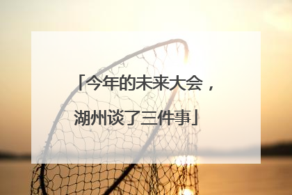 今年的未来大会，湖州谈了三件事