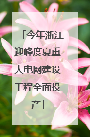 今年浙江迎峰度夏重大电网建设工程全面投产