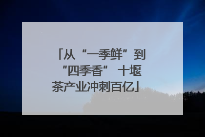 从“一季鲜”到“四季香” 十堰茶产业冲刺百亿