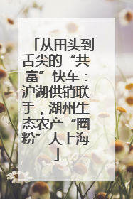 从田头到舌尖的“共富”快车：沪湖供销联手，湖州生态农产“圈粉”大上海