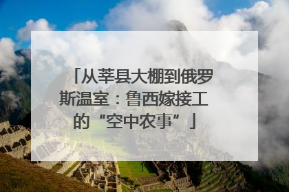 从莘县大棚到俄罗斯温室：鲁西嫁接工的“空中农事”