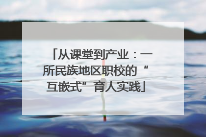 从课堂到产业：一所民族地区职校的“互嵌式”育人实践