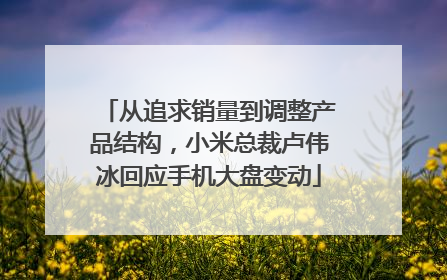 从追求销量到调整产品结构，小米总裁卢伟冰回应手机大盘变动