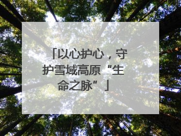 以心护心，守护雪域高原“生命之脉”