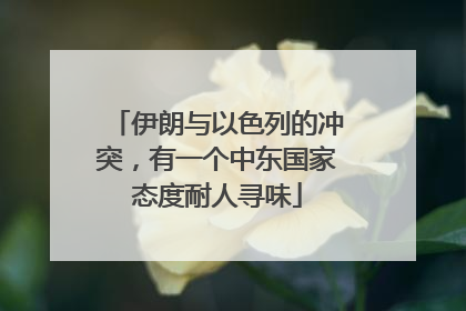 伊朗与以色列的冲突，有一个中东国家态度耐人寻味