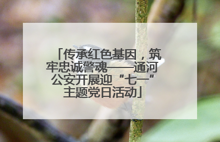 传承红色基因，筑牢忠诚警魂——通河公安开展迎“七一”主题党日活动