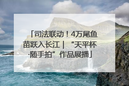 司法联动！4万尾鱼苗跃入长江｜“天平杯·随手拍”作品展播
