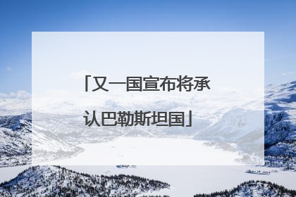 又一国宣布将承认巴勒斯坦国
