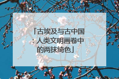 古埃及与古中国：人类文明画卷中的两抹绮色
