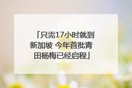 只需17小时就到新加坡 今年首批青田杨梅已经启程