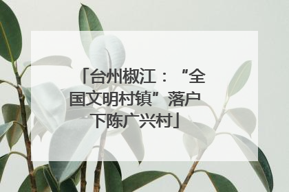 台州椒江：“全国文明村镇”落户下陈广兴村