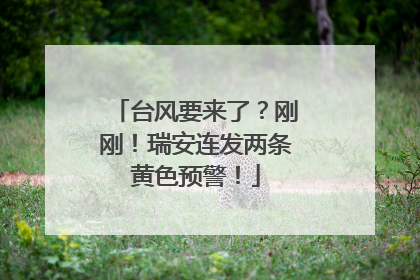 台风要来了？刚刚！瑞安连发两条黄色预警！