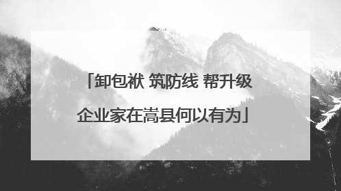 卸包袱 筑防线 帮升级 企业家在嵩县何以有为