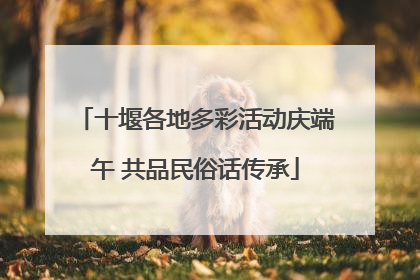 十堰各地多彩活动庆端午 共品民俗话传承