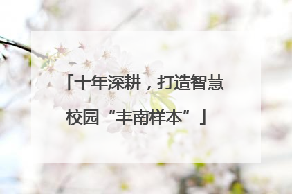 十年深耕，打造智慧校园“丰南样本”