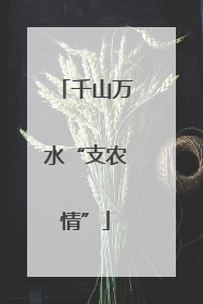 千山万水“支农情”