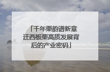 千年栗韵谱新章 迁西板栗高质发展背后的产业密码