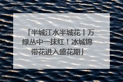 半城江水半城花丨万绿丛中一抹红！冰城锦带花进入盛花期