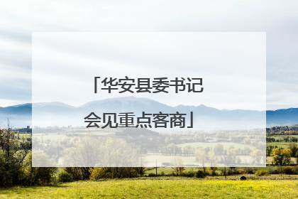 华安县委书记会见重点客商