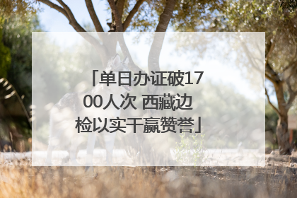 单日办证破1700人次 西藏边检以实干赢赞誉