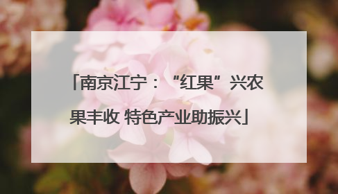 南京江宁：“红果”兴农果丰收 特色产业助振兴
