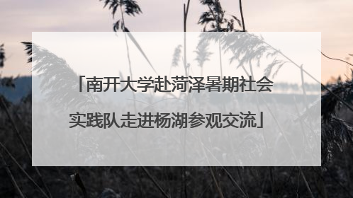 南开大学赴菏泽暑期社会实践队走进杨湖参观交流