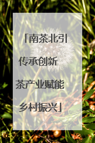 南茶北引传承创新 茶产业赋能乡村振兴