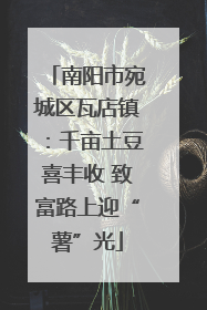 南阳市宛城区瓦店镇：千亩土豆喜丰收 致富路上迎“薯”光