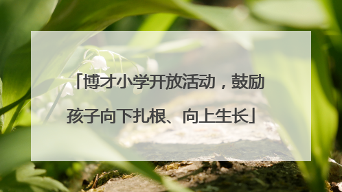 博才小学开放活动，鼓励孩子向下扎根、向上生长