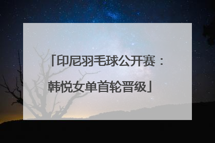 印尼羽毛球公开赛：韩悦女单首轮晋级